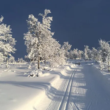 Langleiken Sør-Fron
