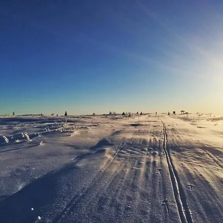 Prázdninový dům Langleiken