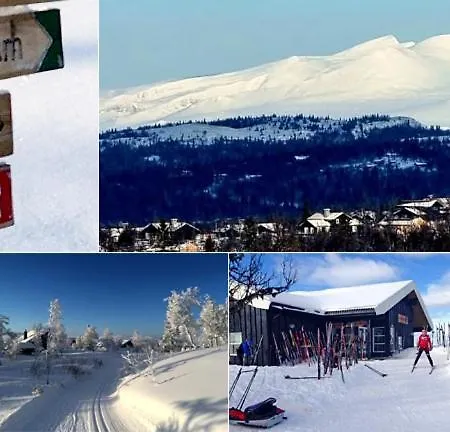 Langleiken Prázdninový dům Sør-Fron